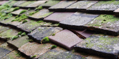 Dinas roof repair costs